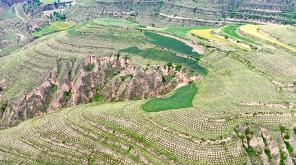 慶城縣林草局榮獲“全國綠化模范單位”榮譽(yù)稱號(hào)
