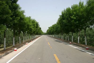 河南黃河網(wǎng) 樹木種植經(jīng)營的發(fā)展現(xiàn)狀與前景