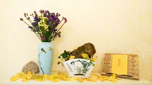 漢上采風(fēng)記 初冬漢中的溫馨與樹木經(jīng)營